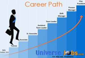 career path