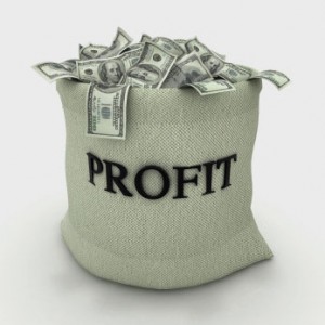 A-Dip-in-Profits