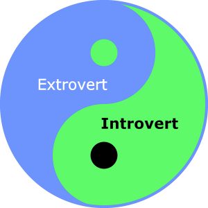 Careers for Introverts