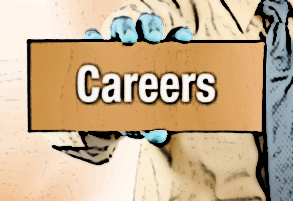 Career