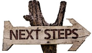 Next Steps