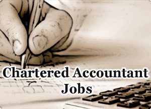 Chartered Accountant Jobs