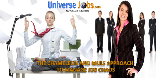 The-Chameleon-and-Mule-Approach-to-Manage-Job-Chaos