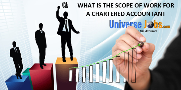 What-Is-the-Scope-of-Work-for-a-Chartered-Accountant