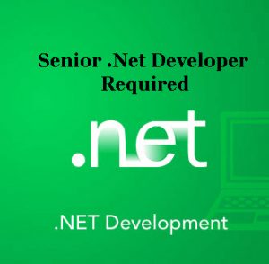 dot net developer