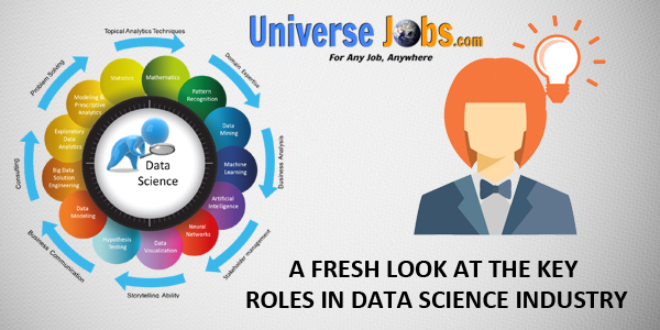 A-Fresh-Look-at-the-Key-Roles-in-Data-Science-Industry
