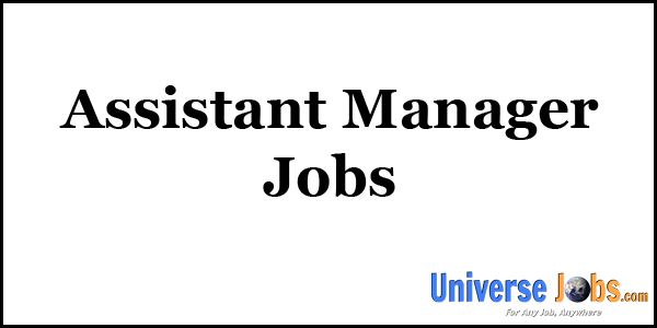 Assistant Manager Jobs