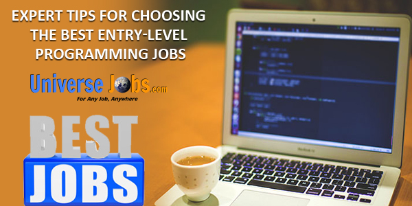 Entry level programming job opportunity