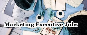 Marketing Executive Jobs