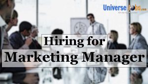 Marketing Manager Jobs