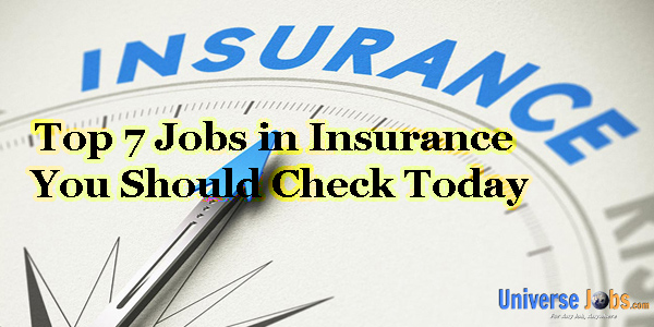 Jobs in Insurance You Should Check Today