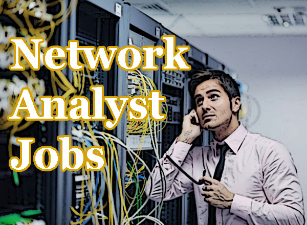 Network Analyst Jobs