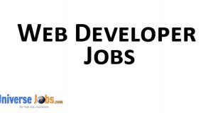Web Developer Jobs